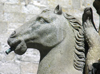 Photo: Detail of a Horse, Praza de Praterías in Santiago de Compostela 